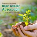 Vital Earth Minerals Super Multi 2-Pack – Liquid Multivitamins for Women, Men & Kids, Liquid Vitamins with Fulvic Acid for Better Absorption, MTHFR Support, 32 Oz Ea + 1 Oz Cup 6