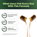 Sandhu's Liver Cleanse Detox & Repair Support | 70 Capsules (Pack of 2) | Herbal Supplement for Liver Health | Milk Thistle Dandelion Root Andrographis with 8 Minerals 6