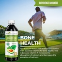 Avocado Leaf Extract Liquid Supplement - Avocado Fruit, Hoja de Aguacate, Avocado Leaves for Vitamins, Dietary Fiber, Skin & Immune Support, Digestive Health - 12oz Herbal Goodness 3