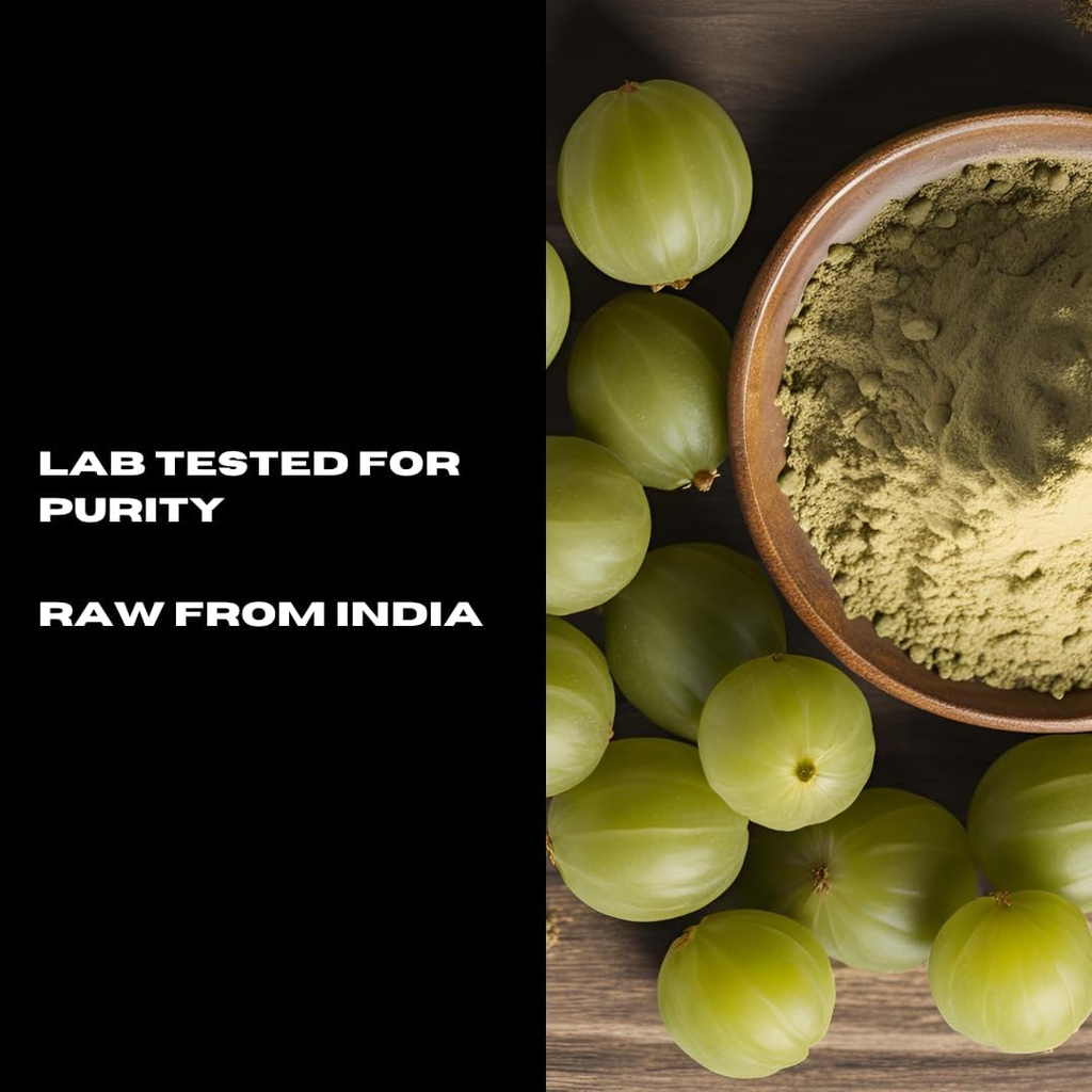 Organic Amla Powder (Indian Gooseberry) | 8.01 oz | USDA Organic & Non-GMO | Raw from India | Healthy Hair & Skin | Recyclable Kraft Bags 3