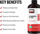 FORCE FACTOR Chlorophyll Liquid Body Deodorizing Supplement, Freshens Breath and Body Naturally, Made with No Artificial Sweeteners or Colors, Non-GMO, Natural Mint Flavor, 16 oz. 3