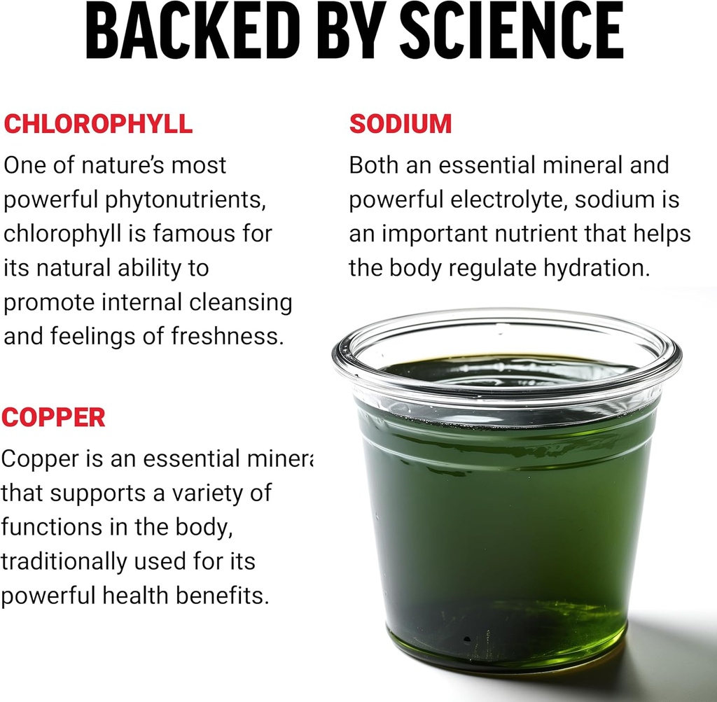 FORCE FACTOR Chlorophyll Liquid Body Deodorizing Supplement, Freshens Breath and Body Naturally, Made with No Artificial Sweeteners or Colors, Non-GMO, Natural Mint Flavor, 16 oz. 4