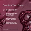 HumanN SuperBeets Beetroot Powder - Nitric Oxide Boost for Blood Pressure, Circulation & Heart Health Support - Non-GMO Superfood Supplement - Original Apple Flavor, 30 Servings 4