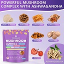 Mushroom Supplement Gummies with Ashwagandha and Lions Mane, Maitake, Turkey Tail, Reishi, Chaga, Shiitake, Cordyceps Nootropic Brain Supplement for Focus, Memory, Immune, Support and Stress Relief 3