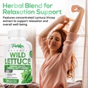 Parker Naturals Wild Lettuce Extract – Herbal Sleep Supplement 1200mg, 4:1 Concentrated, Vegan Capsules, Soothes Discomfort, 60 Servings, 120 Count 5
