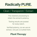 Plant Therapy Boswellia Extract Capsules Manufactured in USA 4 Month Supply Supports Joint Flexibility, Comfort, Soothes Discomfort and Healthy Skin Supplements for Women & Men 120 Vegetarian Capsules 6