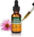Herb Pharm Certified Organic Super Echinacea Liquid Extract for Active Immune System Support - 1 Ounce (DSUPER01) 2