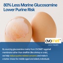 OVOMET Eggshell Membrane Low-Purine Glucosamine Chondroitin Sulfate MSM Boswellia Joint Supplement - Supports Mobility Comfort Strength Flexibility & Bone - Made in Germany - 60 Days Supply 4