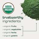 Zena Nutrition Organic Super Greens Powder, 70+ Superfoods, 0 Sugar, 3G Fiber, Spirulina, Chlorella, Antioxidants, Prebiotics/Probiotics, Digestive Enzymes, Green Apple, 30 Drink Mix Packets 6