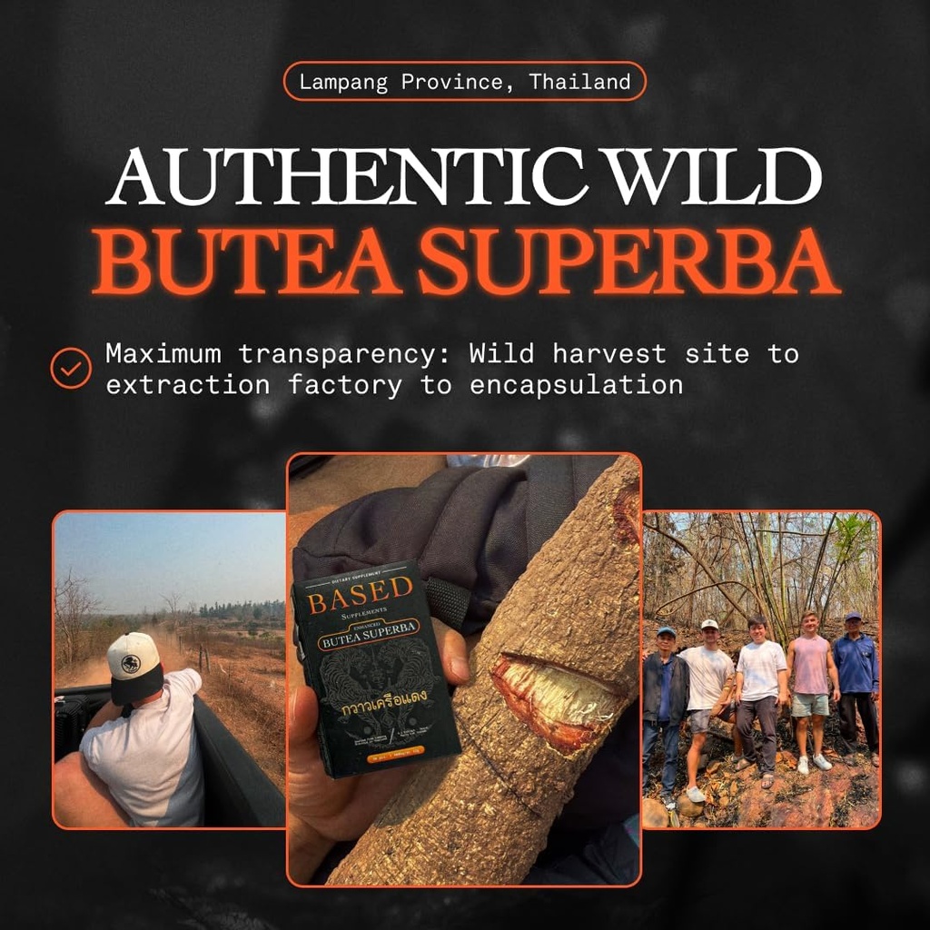 Based Supplements Butea Superba Extract - Traditional Thai Herb for Men's Vitality, Focus & Energy - Premium Root Powder with Natural Flavonoids 3