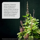 Irwin Naturals Double Potency 5-HTP Extra - 60 Liquid Soft-Gels, Pack of 2 - for Relaxation & Serotonin Production - 60 Total Servings 6