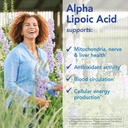 Patient One Alpha Lipoic Acid (ALA) 600 mg | Antioxidant Supplement to Support Nerve and Liver Health* | 60 Capsules 5