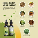 Go Nutrients Liver Edge & Adrenal Edge | Energy & Fatigue Supplement Cortisol Manager Liquid Drops Non-GMO, Gluten Free | Liver Cleanse & Advanced Liver Liquid Drops Supplement Milk Thistle Seed 6