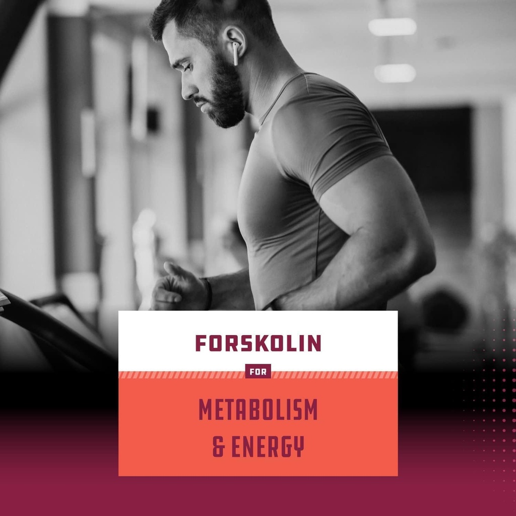 Pure Forskolin Extract Indian Coleus Forskolin for Natural Weight Loss, Burn Fat, Boost Metabolism, Look Leaner & Boost Confidence for Women & Men 6