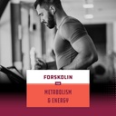 Pure Forskolin Extract Indian Coleus Forskolin for Natural Weight Loss, Burn Fat, Boost Metabolism, Look Leaner & Boost Confidence for Women & Men 6