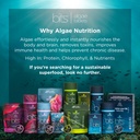 RECOVERYbits - Organic Chlorella Tablets - Plant-Based Algae Superfood - Chlorophyll - Cracked Cell Wall - Energy - Immune System - Detox - Keto - Vegan - Non-GMO - Small Canister - 360 Tablets 3