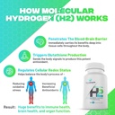 Essential H2 Fizzy Molecular Hydrogen Tablets for Water Nutritional Supplement (Unflavored, 60 Servings) 5