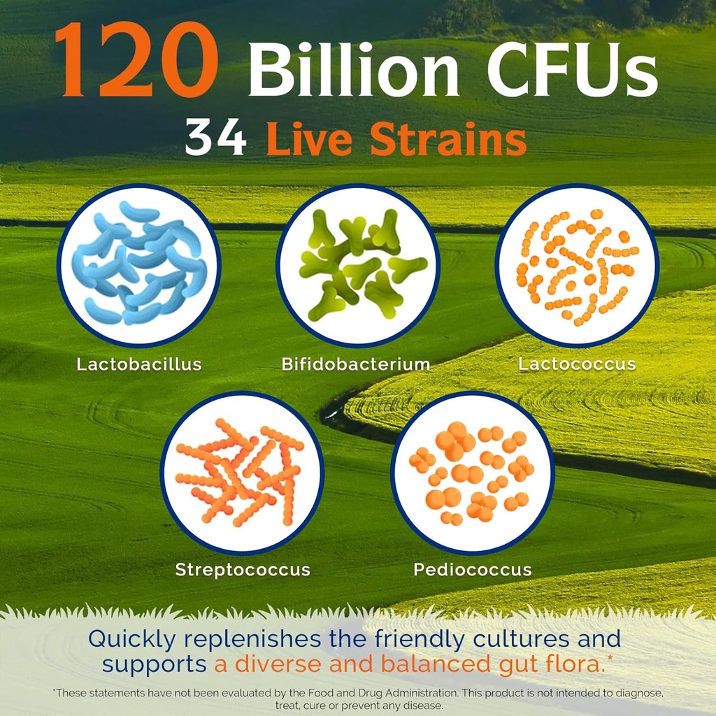 Innate Vitality Probiotics 120 Billion CFUs for Men & Women, 34 Strains with Prebiotics & Digestive Enzymes, Immune & Digestive Health, Delayed Release, Shelf Stable, 30 Vegan Capsules 4