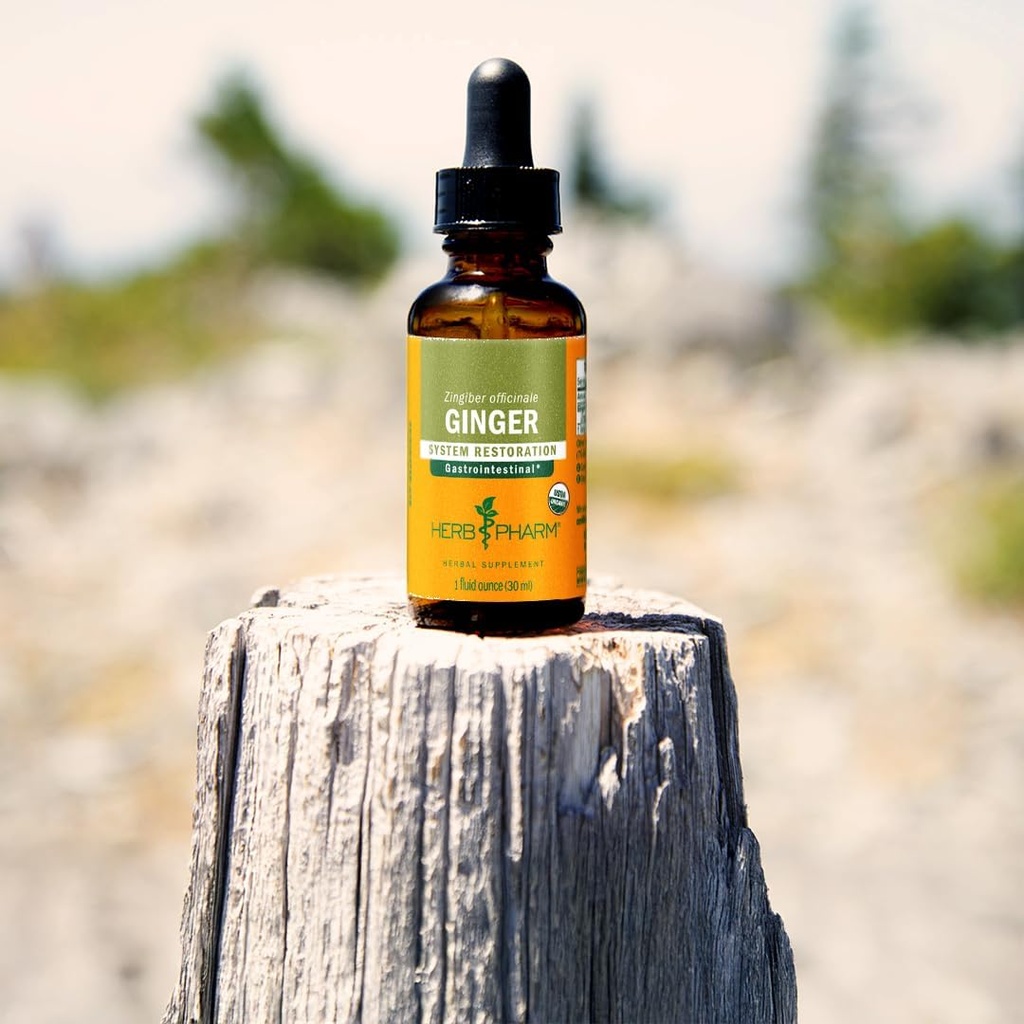 USDA Organic Ginger Root Extract*: Digestion & Circulatory Support | Ginger Tincture for Occasional Nausea | Non-Bitter Vegan Digestive Supplement | 4 Oz, Up to 3 Months Supply 5