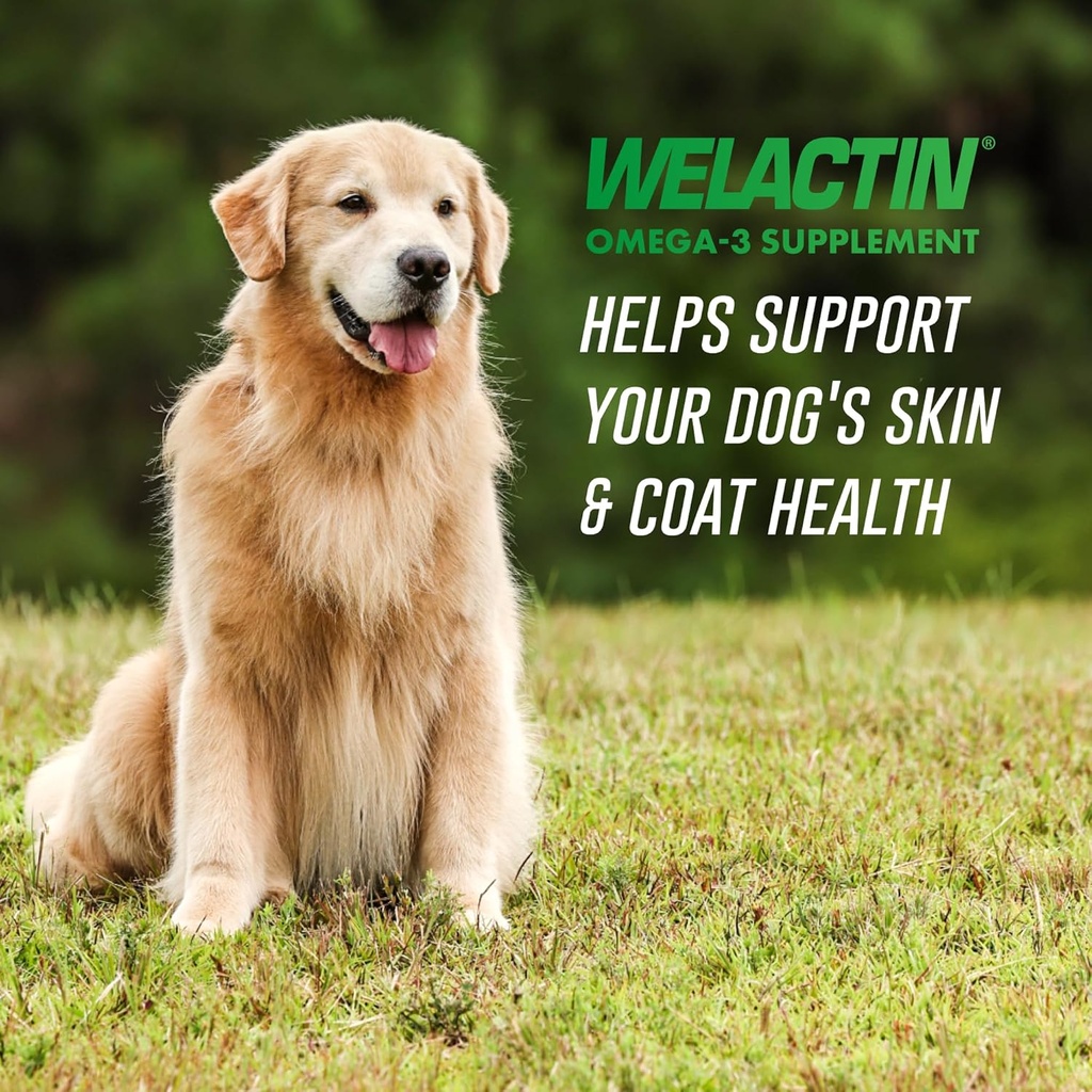 Nutramax Welactin 3 - Canine 120 - Softgel Caps, Welactin Omega-3 Skin and Coat Support 3