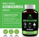 Grassit Ashwagandha Supplement 500 mg/120 Capsules Best Naturals Ashwagandha Capsule for Overall Well Being 4