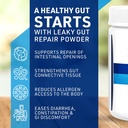 Leaky Gut Repair Gut Health Support Powder Glutamine Slippery Elm for IBS Heartburn Relief Bloating to Soothe Stomach for Women & Men Capsules (Unflavored) 180g 5