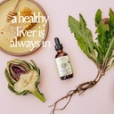 Urban Moonshine Healthy Liver Bitters - Liver Support - Detox - Bile Production - Gut Health - Artichoke - Dandelion - Gentle Detox* -Organic- 2 Fl Oz 4
