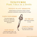 Urban Moonshine Healthy Liver Bitters - Liver Support - Detox - Bile Production - Gut Health - Artichoke - Dandelion - Gentle Detox* -Organic- 2 Fl Oz 6