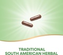 Nature's Way Pau d'Arco Inner Bark, Traditional South American Herb, 2,180 mg per 4-Capsule Serving, Non-GMO Project Verified, 180 Capsules (Packaging May Vary) 4