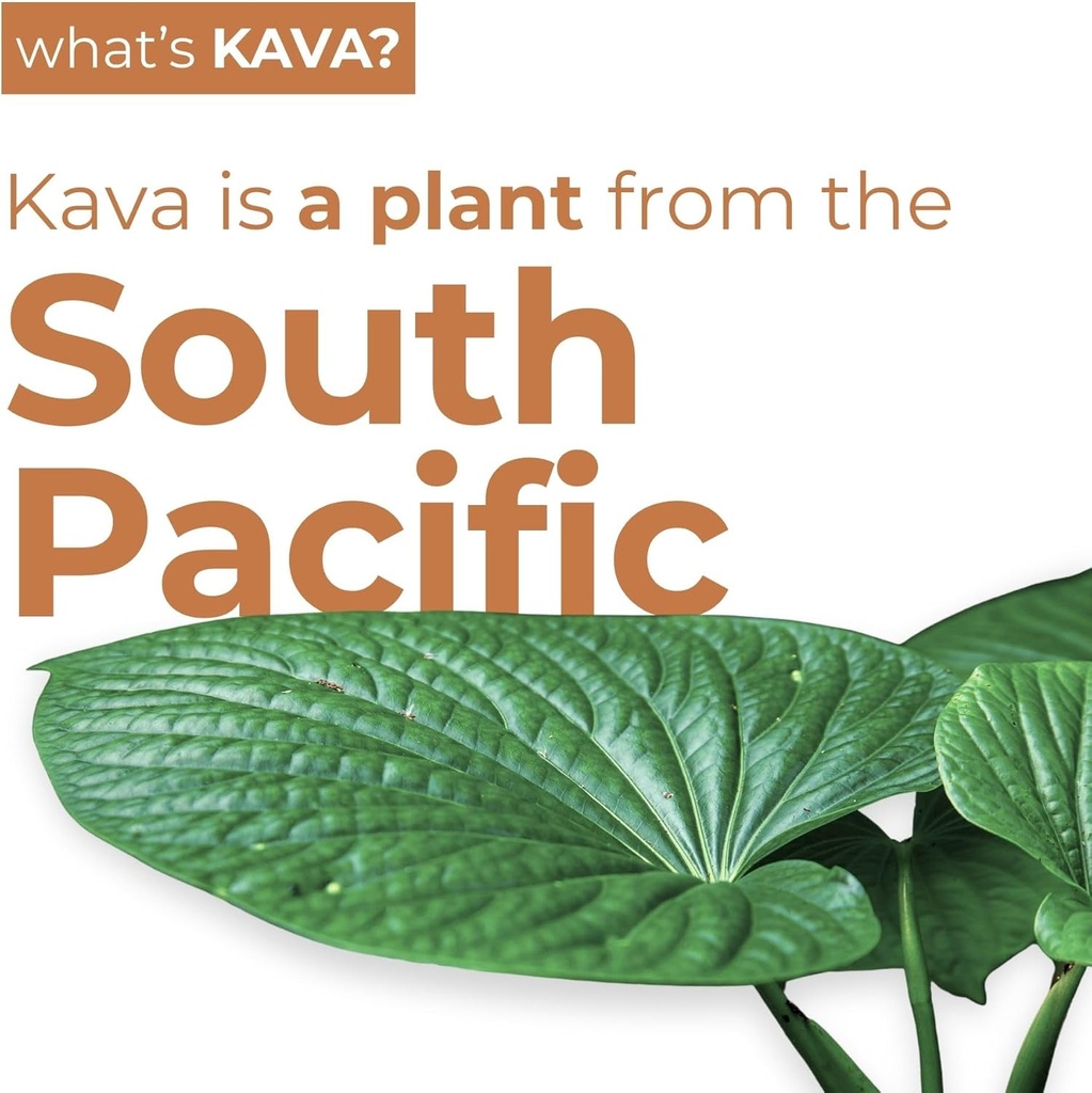 LEILO | Kava Powered Moscow Mule Mocktail Drink | 12-Pack – Sugar-Free & Non-ALC Functional Relaxation Support | 12 fl oz Cans (Pack of 12) 4