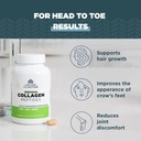 Ancient Nutrition Vegetarian Collagen Peptides, Collagen Peptides Tablets, Collagen with Prebiotics and Probiotics, Supports Healthy Skin, Hair, Joints, Digestion, Vegetarian Capsules, 30 Count 5