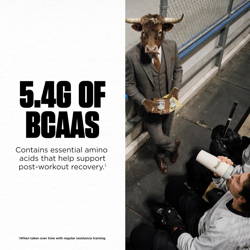 Levels Grass Fed Whey Protein Powder, No Artificials, 24G of Protein, Vanilla Bean, 1LB 6