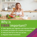 Berberine + 10G Fiber 3