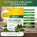 Sunlit Best Chlorella Spirulina Tablets - Organic USDA, Premium Spirulinas and Chlorella Capsules 500 Pills - Chlorellas Natural Superfood with Spirulina Algae, Enzymes Chlorophyll & Vegan Protein 3