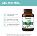 Himalaya Organic Amla/Amalaki for Active Immune Support and Cellular Defense, 600 mg, 60 Caplets, 2 Month Supply, 2 Pack 4