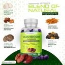 Essentialife Lions Mane Mushroom Supplement | 5-in-1 Mushroom Gummies with Turkey Tail, Cordyceps, Reishi, Chaga Extract | Brain Focus and Immune Support for Women Men, Raspberry Flavor, 60 ct 5