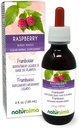 Naturalma Raspberry (Rubus idaeus) Leaf Alcohol-Free Tincture - 4 fl oz Liquid Extract in Drops - Herbal Supplement - Vegan 2