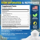 Dr. Berg Zero Sugar Hydration Keto Electrolyte Powder - Enhanced w/ 1000 mg of Potassium & Real Pink Himalayan Salt (NOT Table Salt) - Orange Flavor Hydration Drink Mix Supplement - 50 Servings 4