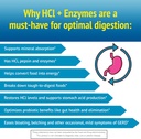 Smidge™ HCl + Enzymes – Digestion – 120 Capsules 6