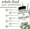 Optimal Health Systems Digest-A-Meal | Gut Health Enzyme & Probiotic | Bloating, Acid Reflux, & Indigestion Relief + Aloe Vera Leaf | Digestion Supplement | 270 Capsules Family Size 5