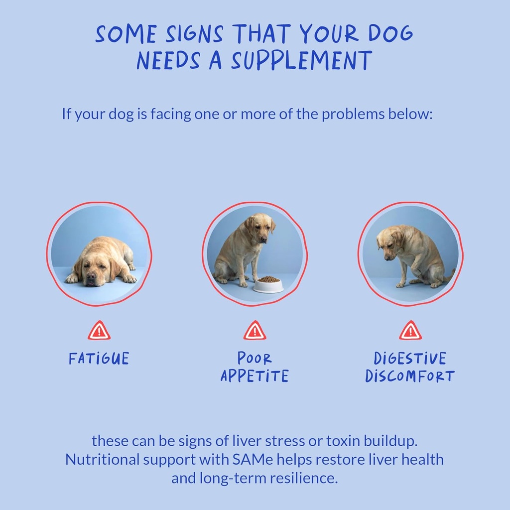 Same for Dogs - 90 Soft Chews - S-Adenosyl-L-Methionine, Liver Supplement - Brain Health, Promotes Cognitive Support, Liver Support (Same Soft Chews) 6