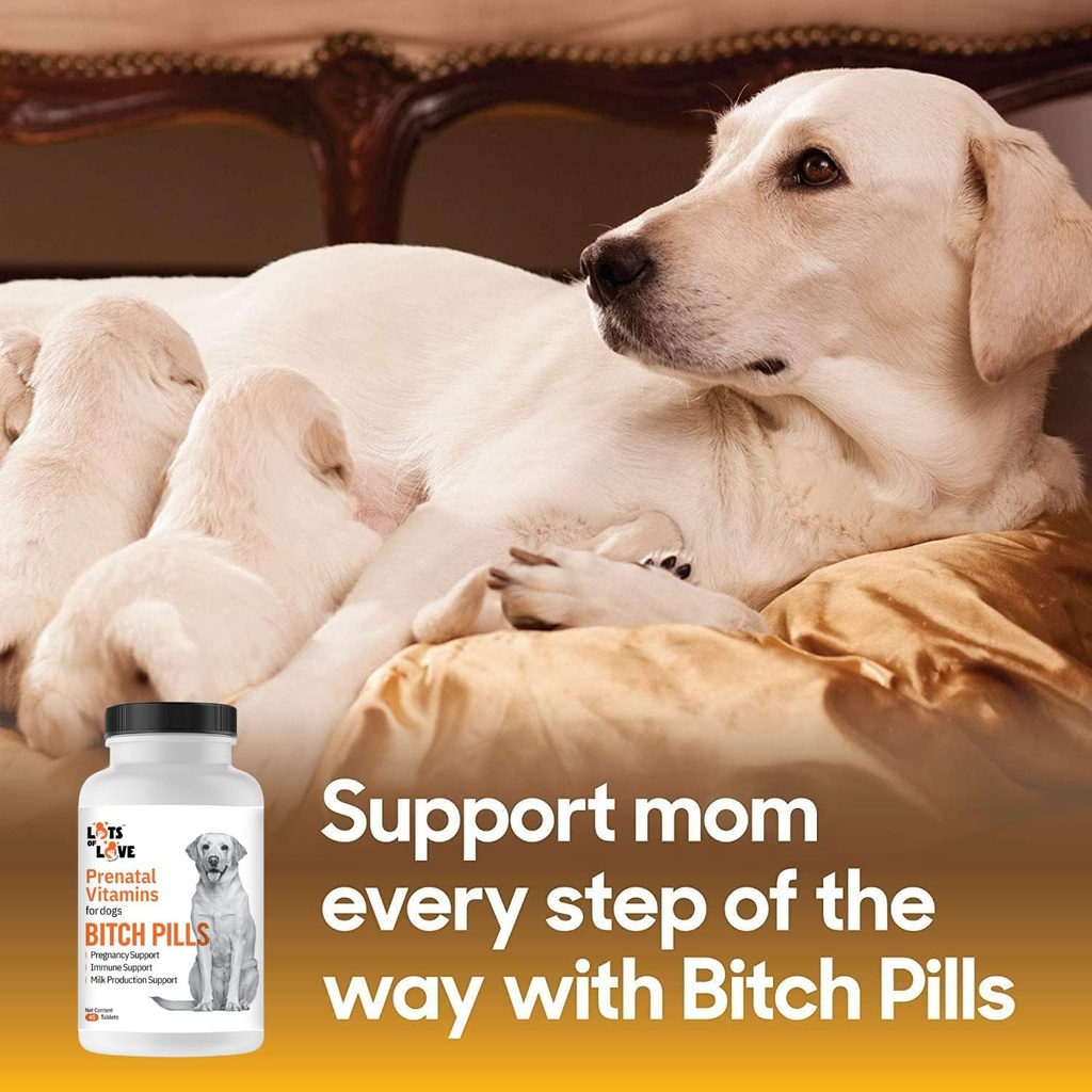 Bitch Pills - Pregnant Dog Prenatal Vitamins - 45 Tablets 4