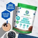 BioTrust Low Carb Lite, 20 Grams of Grass-Fed Whey Protein Isolate, 100 Calories, ProHydrolase Digestive Enzymes, Non-GMO, Free from Soy and Gluten, rBGH-Free (14 Servings) (Chocolate Ice Cream) 4