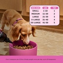 Dog Multivitamin Supplement with Salmon Oil for Dogs - Allergy Itch Relief, Digestion, Skin & Coat Health, Liquid Supplement - Dog Food Topper Bone Broth with Prebiotics (12 oz) 6