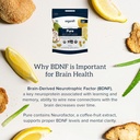 Organifi Pure - Promotes Stimulation in Learning, Memory, Focus, and Clarity - Brain Support with Superfoods - Gluten-Free and Non GMO - Best Served Cold, 30 Servings 6