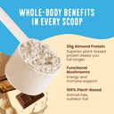 FlavCity Vegan Protein Powder - Chocolate Peanut Butter - 20g Almond, Plant Based Protein Powder - Dairy-Free Shake - With Organic Fruit, Reishi & Cordecyps Mushrooms - No Blender Needed (15 Servings) 5