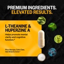 ONNIT Premium Alpha Brain Bundle - Nootropic Brain Supplement (30 Count) for Focus, Concentration & Memory + Shroom Tech Sport for Exercise, Energy & Cardiovascular Performance (28 Count) 5