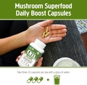 OM MUSHROOM SUPERFOOD Reishi Mushroom Capsules Superfood Supplement, 90 Count, 30 Days, Organic Adaptogen for Stress Relief and Immune Health 6