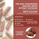 Real Mushrooms Ergothioneine (60ct) and Reishi 415 (90ct) Bundle with Shiitake and Oyster Mushroom Extracts - Longevity and Relaxation -Vegan, Gluten Free, Non-GMO - Natural Support for Healthy Aging 4