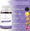 Sambucus Elderberry Gummies, Black Elderberry Gummy with Zinc and Vitamin C for Adults, Sugar Free Kids Multivitamin Gummies Immune Support* Supplement (2 Pack) 5